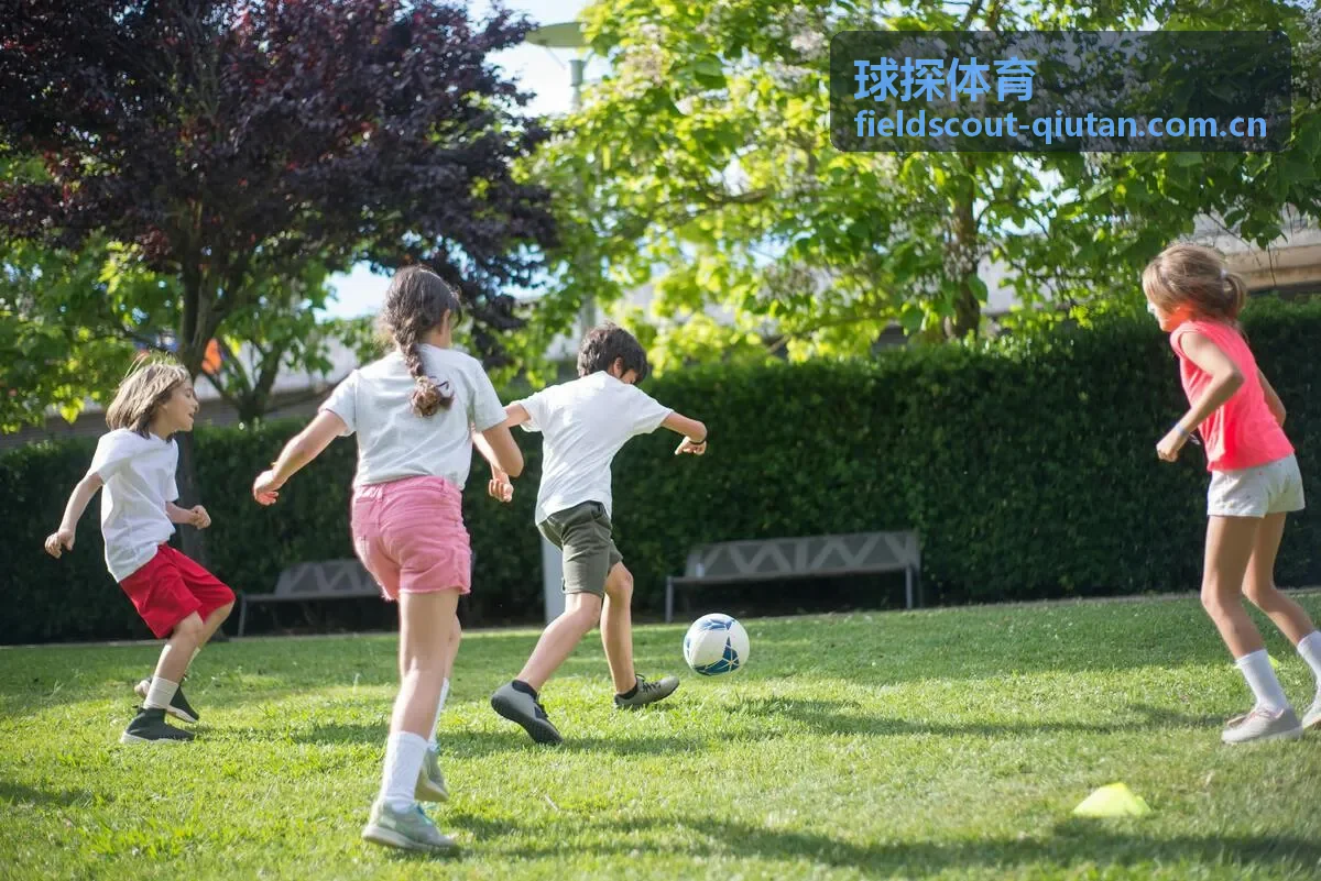 球探体育球员评估模型